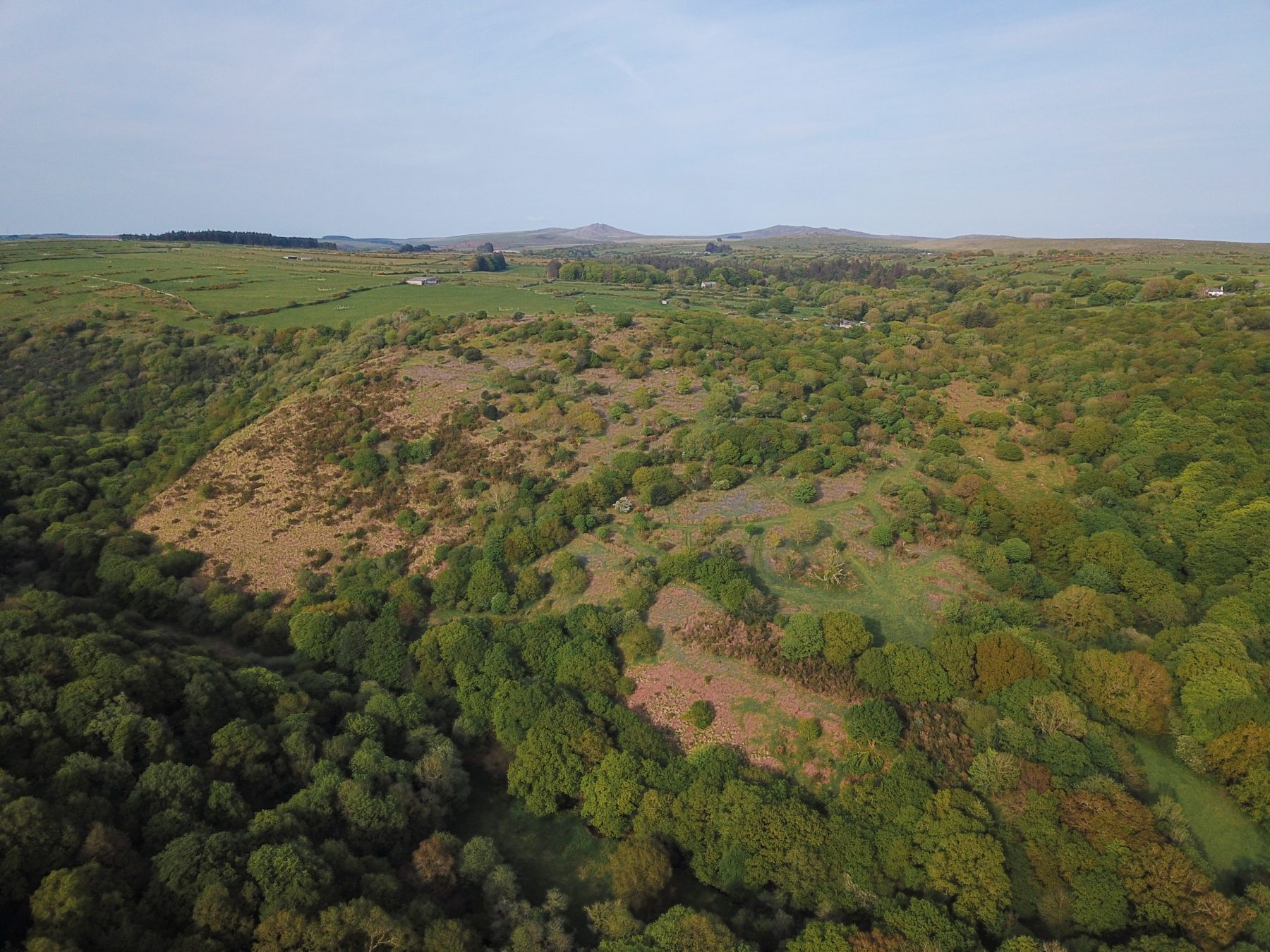 Real Wild Estate partners with 750 acre farm in Cornwall