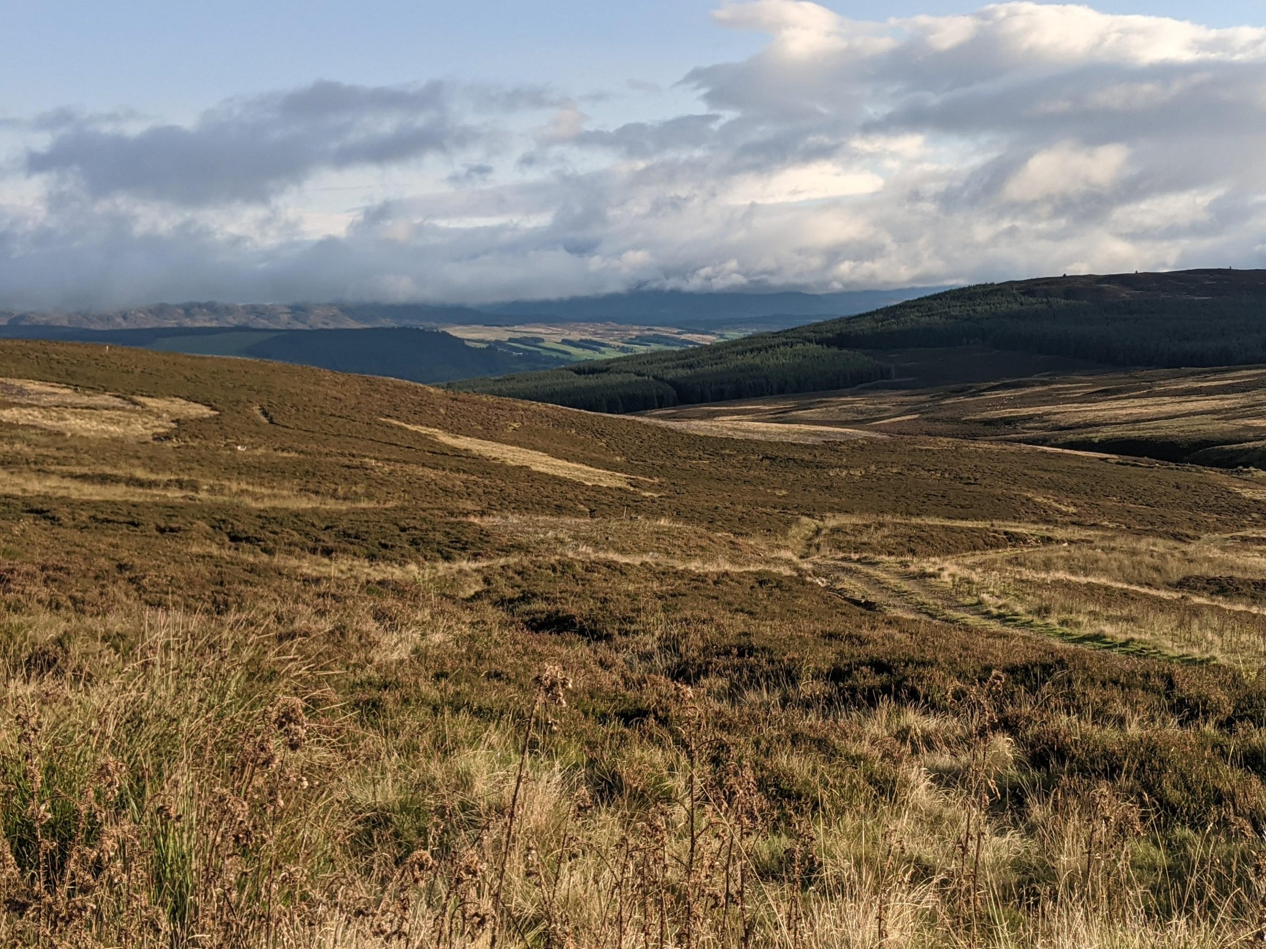 Scottish Grouse moor looking to nature restoration