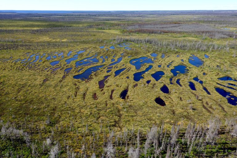 river delta peatland carbon